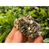 Pyrit, Quarz Madan - Bulgarien Natürliche Kristalle, Mineralien, Exemplare, Clusters, Souvenirs von WholesaleMineralsBox