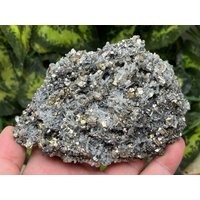 Pyrit, Quarz Madan - Bulgarien Naturkristalle, Mineralien, Exemplare, Cluster, Mitbringsel von WholesaleMineralsBox