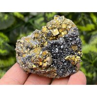 Pyrit, Sphalerit, Bergkristall Madan - Bulgarien Natürliche Kristalle, Mineralien, Proben, Cluster, Souvenirs von WholesaleMineralsBox