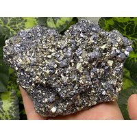 Pyrit Galena Madan - Bulgarien Naturkristalle, Mineralien, Exemplare, Cluster, Andenken von WholesaleMineralsBox