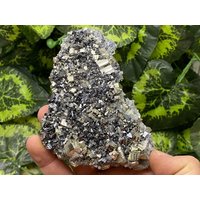 Pyrit Galena Quarz Madan - Bulgarien Naturkristalle, Mineralien, Exemplare, Cluster, Mitbringsel von WholesaleMineralsBox
