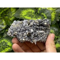 Pyrit Galena Quarz Madan - Bulgarien Naturkristalle, Mineralien, Exemplare, Cluster, Mitbringsel von WholesaleMineralsBox