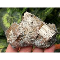 Pyrit Madan - Bulgarien Natürliche Kristalle, Mineralien, Proben, Cluster, Souvenirs von WholesaleMineralsBox