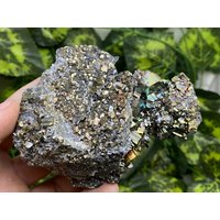 Pyrit Madan - Bulgarien Naturkristalle, Mineralien, Exemplare, Cluster, Andenken von WholesaleMineralsBox