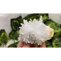 Quarz, Calcit Madan - Bulgarien Naturkristalle, Mineralien, Exemplare, Cluster, Mitbringsel von WholesaleMineralsBox