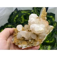 Quarz, Clacit( 2 Generationen Madan - Bulgarien Naturkristalle, Mineralien, Exemplare, Cluster, Mitbringsel von WholesaleMineralsBox