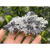 Quarz, Sphalerit Pyrit Madan - Bulgarien Naturkristalle, Mineralien, Exemplare, Cluster, Mitbringsel von WholesaleMineralsBox