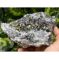 Quarz Chalcopyrit Sphalerit Galena Madan - Bulgarien Natürliche Kristalle, Mineralien, Exemplare, Cluster, Souvenirs von WholesaleMineralsBox