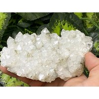 Quarz Chlorit Madan - Bulgarien Natürliche Kristalle, Mineralien, Exemplare, Cluster, Souvenirs von WholesaleMineralsBox