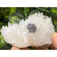 Quarz Galena Madan - Bulgarien Naturkristalle, Mineralien, Exemplare, Cluster, Andenken von WholesaleMineralsBox