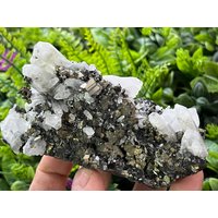 Quarz Pyrit Chalcopyrit Madan - Bulgarien Natürliche Kristalle, Mineralien, Exemplare, Cluster, Souvenirs von WholesaleMineralsBox