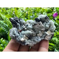 Quarz Pyrit Madan - Bulgarien Natürliche Kristalle, Mineralien, Exemplare, Cluster, Souvenirs von WholesaleMineralsBox