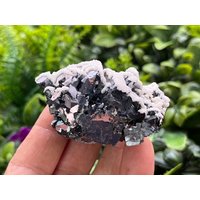 Sphalerit, Galena Calcit Madan - Bulgarien Natürliche Kristalle, Mineralien, Exemplare, Cluster, Souvenirs von WholesaleMineralsBox