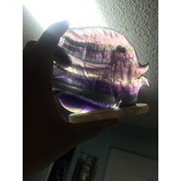 13 cm Geschnitzter Mehrfarbiger Fluorit-Fisch von WholesaleRocksDotBIZ