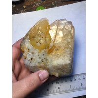 615G Großer Hundezahn Calcit Kristall von WholesaleRocksDotBIZ