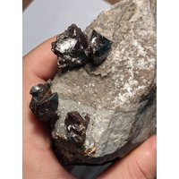 Große Platte Mit Sphalerit Und Winzigen Calciten Aus Elmwood Tennessee von WholesaleRocksDotBIZ