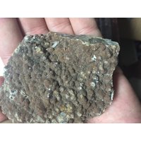 Wunderschöner Druzy Quartz Auf Agatized Coral Crystal Cluster Aus Missouri von WholesaleRocksDotBIZ