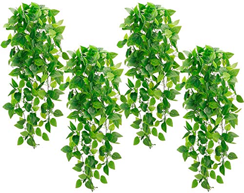 Whonline Künstliche Hängepflanzen, 9,6 m, künstliche Pothos mit je 162 Blättern, künstliche Efeu-Rebe für Schlafzimmer, Wand, Veranda, Garten, Heimdekoration (kein Korb) von Whonline