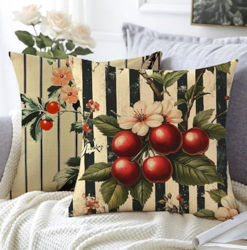 Kissenbezug 60x60cm Kissenbezug Outdoor Streifen 2er Set Leinen Aesthetic Kissen Obst Flauschig Sofakissen Schlafzimmer Deko Wohnzimmer Modern Kopfkissenbezug Sofa Schlafzimmer Stuhl Balkon Deko A1-29 von Whoonng