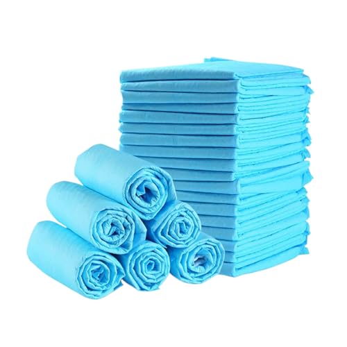 Hundepads Für Urin - Hundetoiletten | 100 Stück Geruchsbindende Ultra Saugfähige Stubenreinheit Training Haushaltstierbedarf Für Kleintiere Katzen Kätzchen Alle Rassen von Whrcy