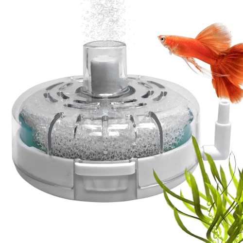 Whrcy Kleiner Aquariumfilter – Filter für kleine Aquarien – Pumpe fortschrittliches Filtersystem, Belüfter für Terrarium, Teich, Schildkröte, Salzwasser, Zucht von Süßwasser von Whrcy