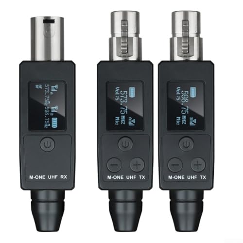 Mikrofon Wireless Verbindungssystem, Dual Transmitter Wireless Mikrofon mit Empfänger, für Live-Auftritte, Präsentationen und Aufnahmen von Whychstore