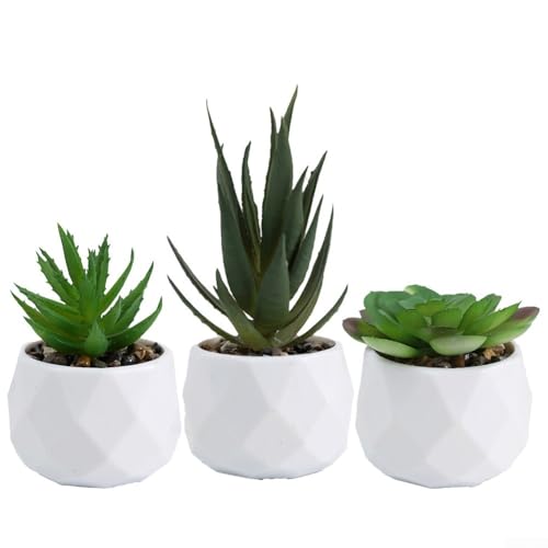 Set mit 3 künstlichen Topf-Sukkulenten für Schreibtisch und Heimdekoration, elegantes Design (set3) von Whychstore