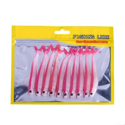Tackle Box Essentials Packung mit zehn realistischen Ködern zur Verbesserung Ihres Angelspiels (Farbe 2) von Whychstore