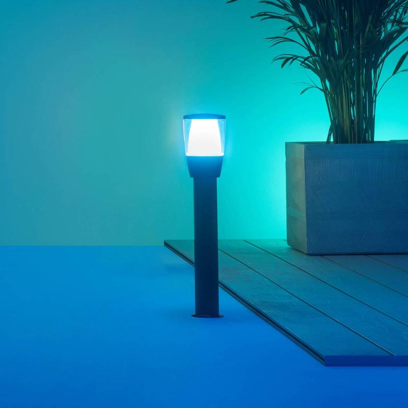 WiZ Elpas LED-Wegeleuchte schwarz RGBW Starter Set von WiZ