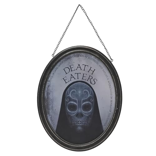 Harry Potter Dark Arts verspiegeltes Schild – Todesser von Widdop and Co