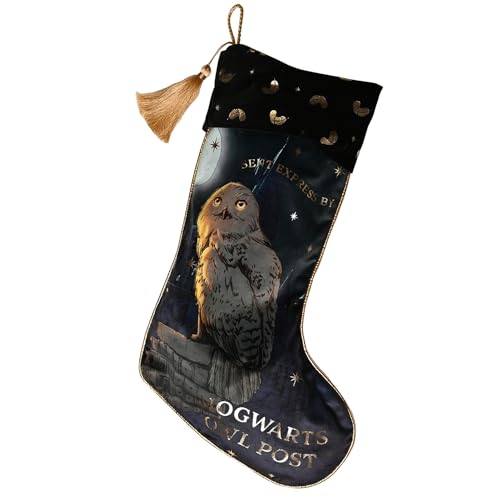 Widdop Harry Potter Hogwarts Eule Post Alumni Weihnachtsstrumpf für Geschenke 55 cm Weihnachtsgeschenke Hängende Kinder Geschenk Blau von Widdop and Co