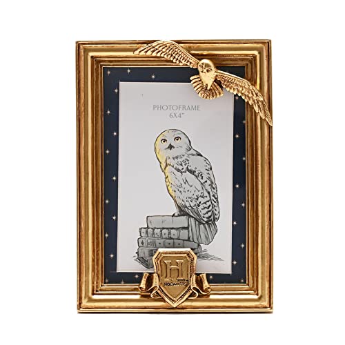 Warner Bros Harry Potter Alumni Gold Bilderrahmen Hedwig von Widdop and Co