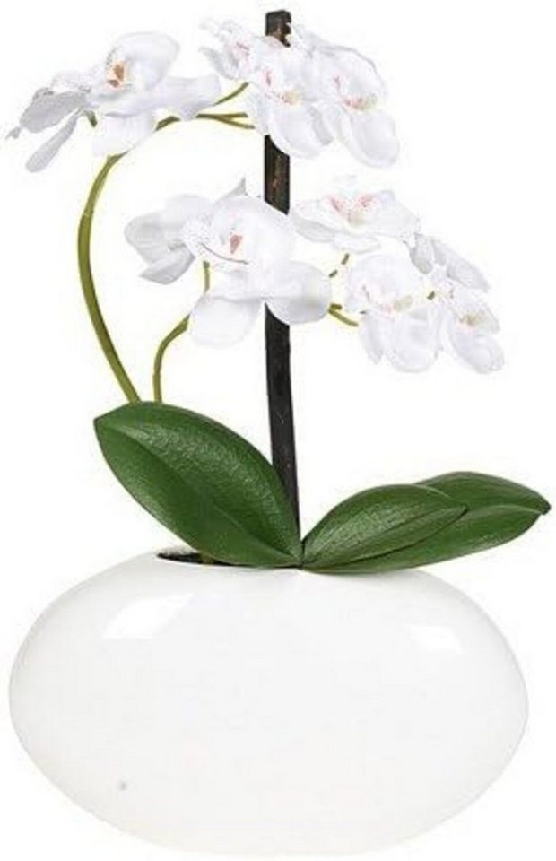 WieWin Dekovase Orchidee in Vase 28cm cream (1 St) von WieWin