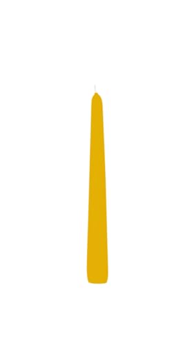 Wiedemann Kerzen Spitzkerzen Dotter Gelb 250 x Ø 25 mm, 8 Stück von Wiedemann Kerzen