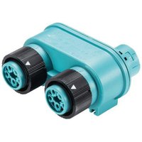 Wieland Electric 46.050.1253.6 Rundstecker Verteiler Gesamtpolzahl: 4 + PE Serie (Rundsteckverbinde von Wieland