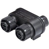 Wieland - Electric 46.050.1253.1 Rundstecker Verteiler Gesamtpolzahl: 4 + pe Serie (Rundsteckverbinde von Wieland