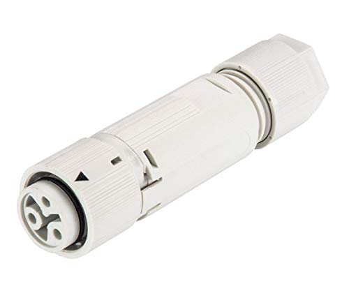 Wieland Mini Steckverbinder RST16I3 S B1 ZT4 GL 3-polig Buchsenteil Kodierung lichtgrau Gehäuse lichtgrau von Wieland
