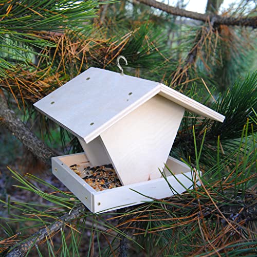 Vogelhaus-Bausatz zum selber Bauen und gestalten | Wiemann Lehrmittel von Wiemann Lehrmittel