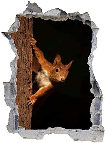 3D Wandtattoo Mauerloch Wandsticker Wandaufkleber Durchbruch selbstklebend Schlafzimmer Wohnzimmer Kinderzimmer - Eichhörnchen,Größe 52x78cm von Wieoc