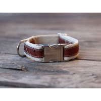 Lil' Adventurer Kork-Hundehalsband in Sangria Rot, Hanfgurtband, Kleines Hundehalsband, Handgemachtes Hundehalsband von WigglywoosPet