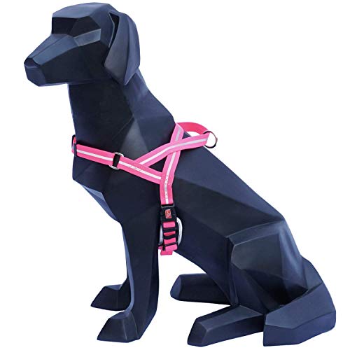 Wigzi MWH-PK Reflective Waterproof Harness, M, neon rosa von Wigzi