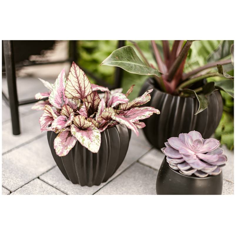 Wikholm form Design Pflanzgefäß / Blumentopf Keramik schwarz ⌀ 18 x H 22 cm von Wikholm Form