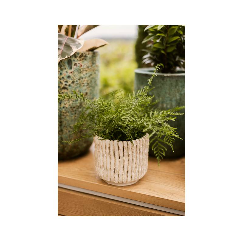 Wikholm form Design Pflanzgefäß / Blumentopf Terrakotta creme ⌀ 15 x H 17 cm von Wikholm Form