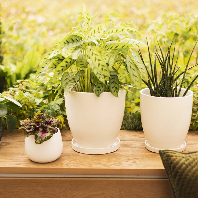 Wikholm form Design Pflanzgefäß / Blumentopf cremeweiß ⌀ 31 x H 30 cm von Wikholm Form