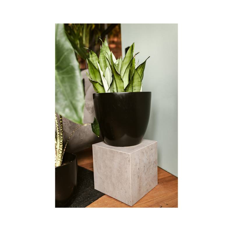 Wikholm form Design Pflanzgefäß / Blumentopf schwarz ⌀ 37 x H 32 cm von Wikholm Form