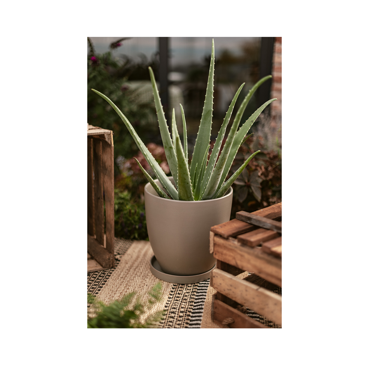Wikholm form Design Untersetzer Terrakotta grün ⌀ 19 cm Wikholm form Design Untersetzer Terrakotta grün ⌀ 19 cm von Wikholm Form