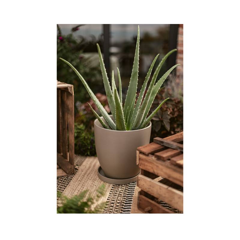 Wikholm form Design Untersetzer Terrakotta grün ⌀ 23 cm von Wikholm Form