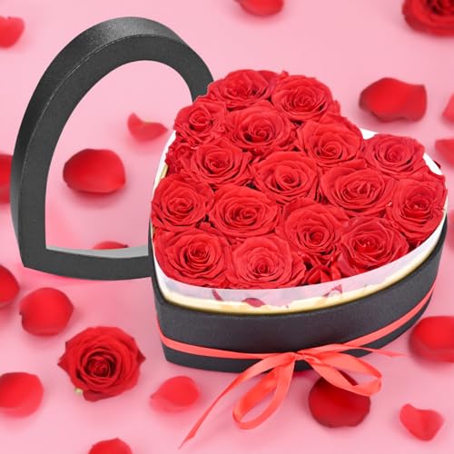 WildFun 16 Forever Real Rose Heart Box, Eternal Preserved Red Roses Flowers, Rose Geschenke für ihre Frau Frau Freundin auf Geburtstag, Jahrestag, Valentinstag, Muttertag, Weihnachten WildFun 16 Forever Real Rose Heart Box, Eternal Preserved Red Roses Flowers, Rose Geschenke für ihre Frau Frau Freundin auf Geburtstag, Jahrestag, Valentinstag, Muttertag, Weihnachten von WildFun