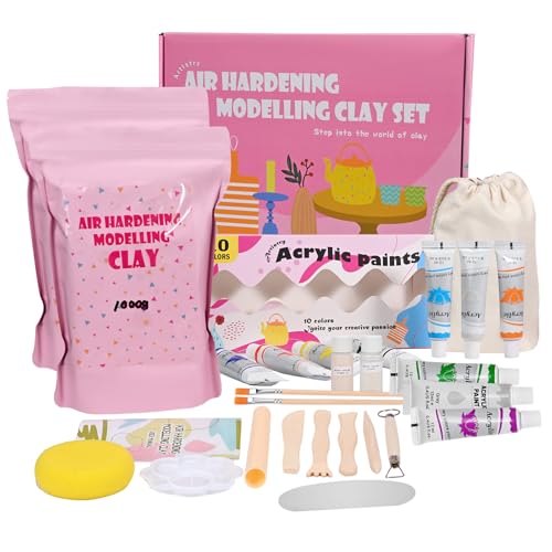 WildFun Töpfer-Set für Zuhause [inkl. 2 kg Ton] - 24-teiliges DIY-Set zum Töpfern für Erwachsene inkl. Werkzeugsatz, Farben & Stempel - lufttrocknend, brennt nicht von WildFun