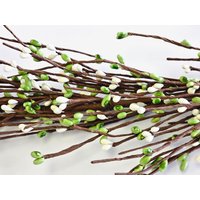 Beerengirlande-Grün & Weiss Girlande-Tischläufer-st. Patricks Girlande-Girlande Für Mantel-Summer Home Decor-Kranz Lieferungen-Diy Kranz-Handwerk Beerengirlande-Grün & Weiss Girlande-Tischläufer-st. Patricks Girlande-Girlande Für Mantel-Summer Home Decor-Kranz Lieferungen-Diy Kranz-Handwerk von WildRidgeDesign
